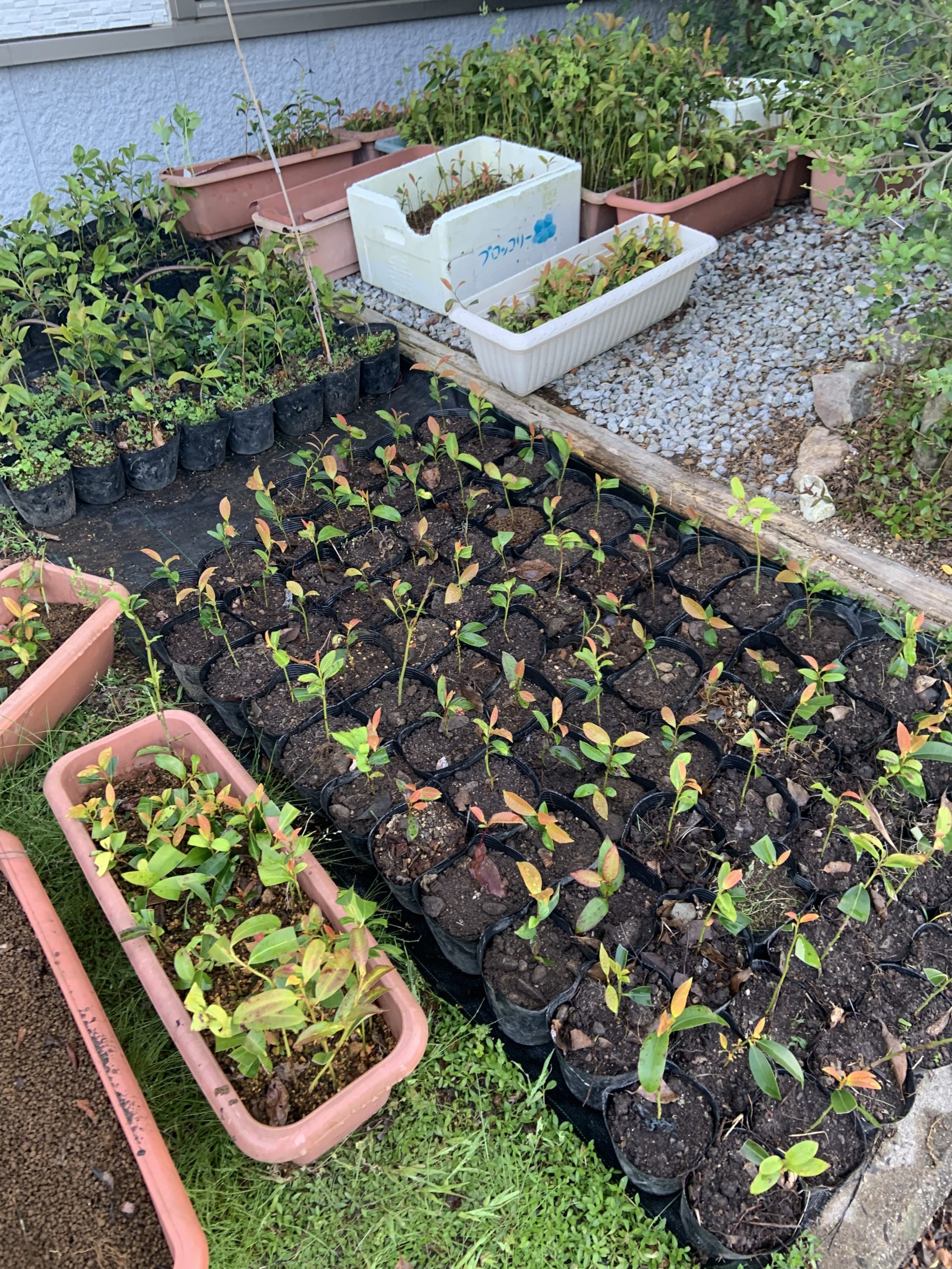 64A8BA13-676B-46A8-8B78-